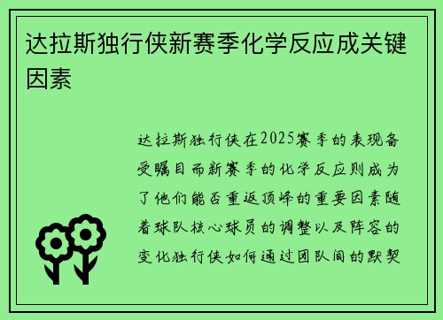 达拉斯独行侠新赛季化学反应成关键因素